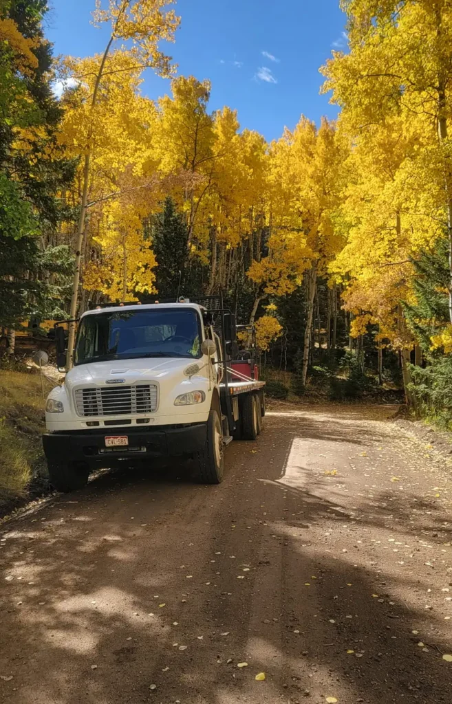 A white flatbed delivery truck is parked on a dirt road that winds through a dense grove of aspen trees with vibrant yellow autumn leaves. The truck is angled toward the viewer, with a red forklift partially visible on the back. The scene is illuminated by bright sunlight, casting long shadows across the road under a clear blue sky.